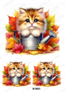 Rýžový a Soft  papír  A4 pro decoupage- R01801
