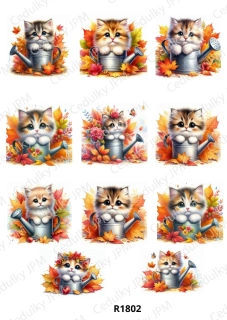 Rýžový a Soft  papír  A4 pro decoupage- R01802