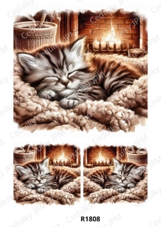 Rýžový a Soft  papír  A4 pro decoupage- R01808