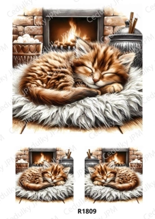 Rýžový a Soft  papír  A4 pro decoupage- R01809