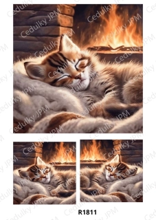 Rýžový a Soft  papír  A4 pro decoupage- R01811