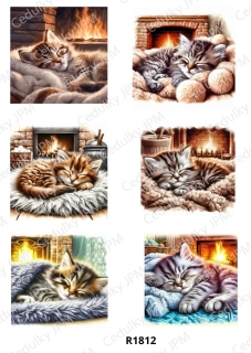 Rýžový a Soft  papír  A4 pro decoupage- R01812