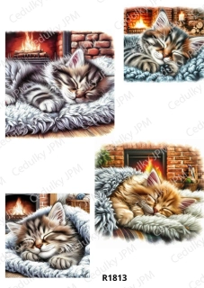 Rýžový a Soft  papír  A4 pro decoupage- R01813