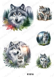 Rýžový a Soft  papír  A4 pro decoupage- R01816