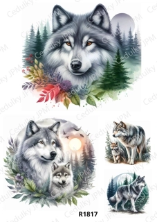 Rýžový a Soft  papír  A4 pro decoupage- R01817