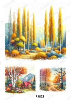 Rýžový a Soft  papír  A4 pro decoupage- R01823