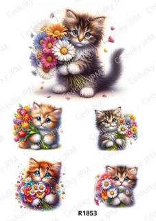 Rýžový a Soft  papír  A4 pro decoupage- R01853