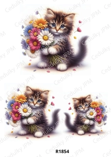 Rýžový a Soft  papír  A4 pro decoupage- R01854