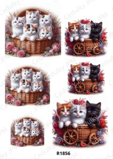 Rýžový a Soft  papír  A4 pro decoupage- R01856