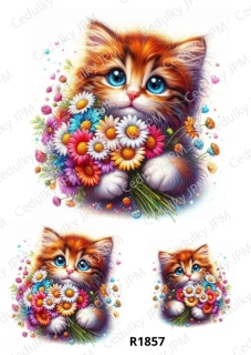 Rýžový a Soft  papír  A4 pro decoupage- R01857