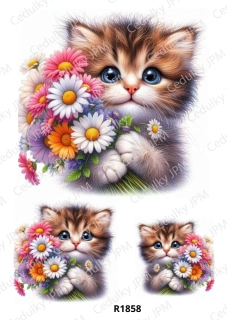 Rýžový a Soft  papír  A4 pro decoupage- R01858
