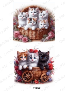 Rýžový a Soft papír A4 pro decoupage- R01859