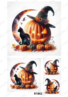 Rýžový a Soft  papír  A4 pro decoupage- R01862