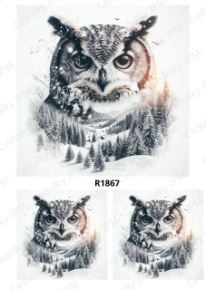 Rýžový a Soft  papír  A4 pro decoupage- R01867