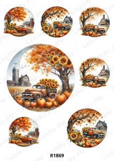 Rýžový a Soft  papír  A4 pro decoupage- R01869