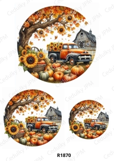 Rýžový a Soft  papír  A4 pro decoupage- R01870