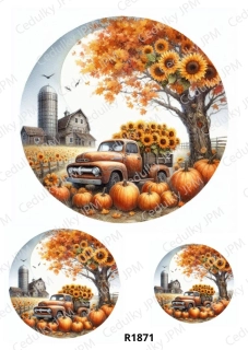 Rýžový a Soft  papír  A4 pro decoupage- R01871