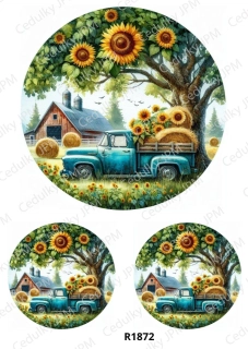 Rýžový a Soft  papír  A4 pro decoupage- R01872