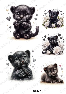 Rýžový a Soft  papír  A4 pro decoupage- R01877