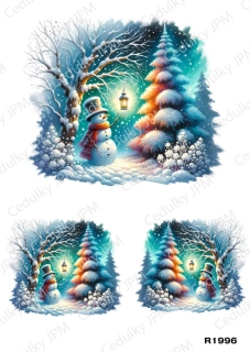 Rýžový a Soft  papír  A4 pro decoupage- R01996