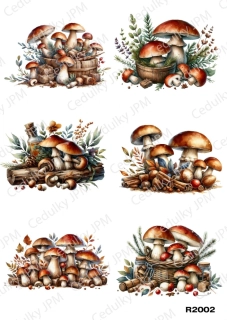 Rýžový a Soft  papír  A4 pro decoupage- R02002