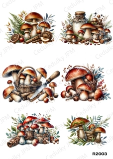 Rýžový a Soft  papír  A4 pro decoupage- R02003