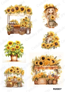 Rýžový a Soft  papír  A4 pro decoupage- R02007
