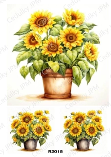 Rýžový a Soft  papír  A4 pro decoupage- R02015