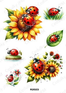 Rýžový a Soft  papír  A4 pro decoupage- R02023