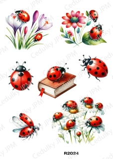 Rýžový a Soft  papír  A4 pro decoupage- R02024