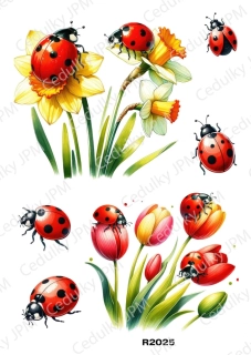 Rýžový a Soft  papír  A4 pro decoupage- R02025