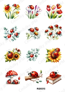 Rýžový a Soft  papír  A4 pro decoupage- R02026