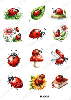 Rýžový a Soft  papír  A4 pro decoupage- R02027