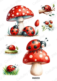 Rýžový a Soft  papír  A4 pro decoupage- R02028