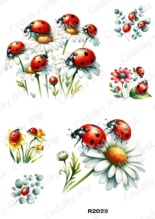 Rýžový a Soft  papír  A4 pro decoupage- R02029