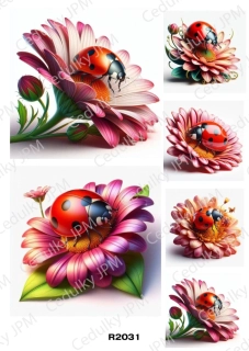 Rýžový a Soft  papír  A4 pro decoupage- R02031