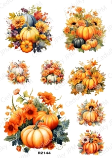 Rýžový a Soft  papír  A4 pro decoupage- R02144