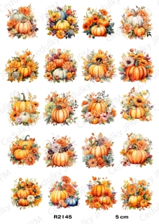 Rýžový a Soft  papír  A4 pro decoupage- R02145