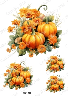 Rýžový a Soft  papír  A4 pro decoupage- R02148