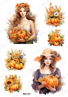 Rýžový a Soft  papír  A4 pro decoupage- R02151