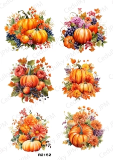 Rýžový a Soft  papír  A4 pro decoupage- R02152