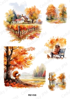 Rýžový a Soft  papír  A4 pro decoupage- R02153