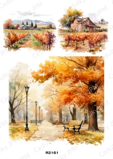 Rýžový a Soft papír A4 pro decoupage- R02161