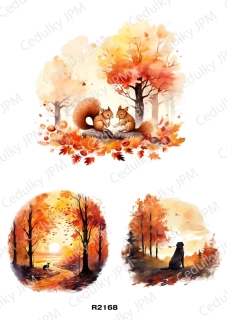 Rýžový a Soft papír A4 pro decoupage- R02168