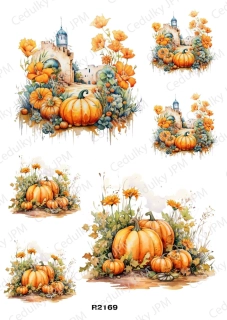 Rýžový a Soft papír A4 pro decoupage- R02169