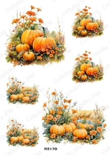 Rýžový a Soft papír A4 pro decoupage- R02170