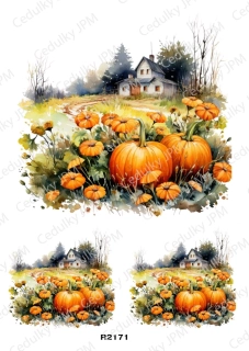 Rýžový a Soft papír A4 pro decoupage- R02171