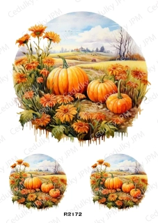 Rýžový a Soft papír A4 pro decoupage- R02172