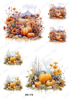 Rýžový a Soft papír A4 pro decoupage- R02173