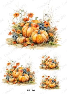 Rýžový a Soft papír A4 pro decoupage- R02174